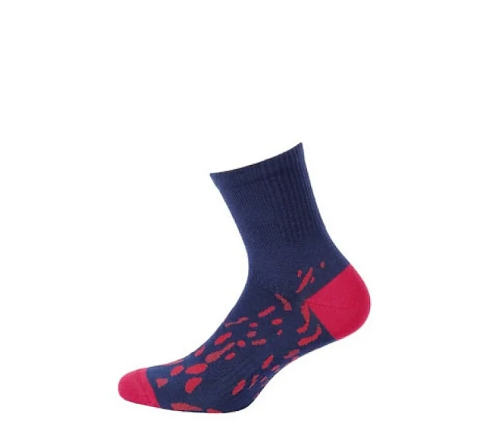 Pánské ponožky Wola  Ag+ Vzor  barvy model 22074922 - Gatta