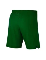 Pánské kraťasy Laser Woven IV Short M AJ1245-302 - Nike