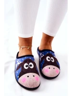 Hřejivé pantofle Model Modré model 21570624 - Boto