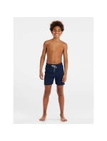 Dětské tmavě modré šortky do školy Protest CULTURE JR (P2810000_941) Dětské tmavě modré šortky do školy Protest CULTURE JR (P2810000_941)