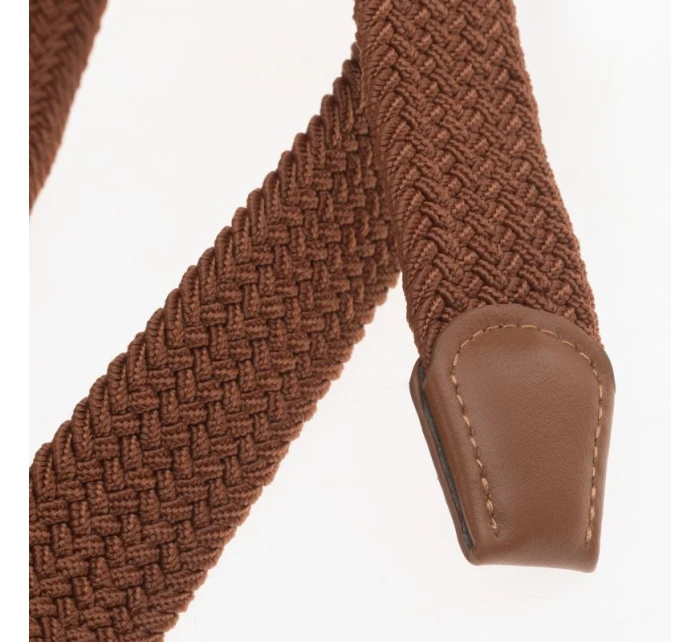 model 21353205 - Iguana