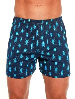 Pánské trenýrky model 22127013 - Cornette