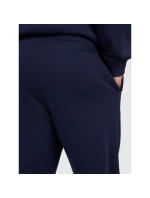 Pánské tepláky typu jogger 4F 4FRMM00TTROM1624-31S Pánské tepláky typu jogger 4F 4FRMM00TTROM1624-31S