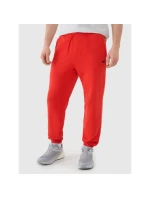 Spodnie dresowe męskie model 21460755 - 4F