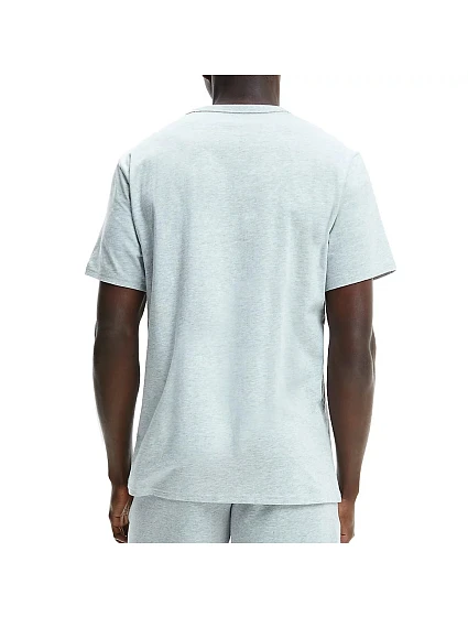 Pánské tričko s krátkým rukávem model 20908272 - Calvin Klein Pánské tričko s krátkým rukávem model 20908272 - Calvin Klein