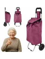 NÁKUPNÍ VOZÍK NA KOLEČKÁCH S RÁMEM 33L ČERVENÝ