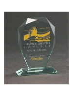 Trofeum szklane grawerowane z etui model 21828714 farbą