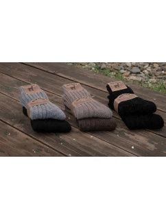 Pánské ponožky   A'2 3546 model 21796561 - WiK