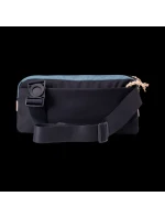 model 21355968 - Iguana