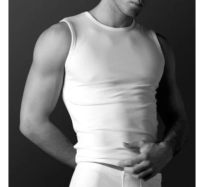 Pánské tričko model 19361711 M2XL - Atlantic Pánské tričko model 19361711 M2XL - Atlantic