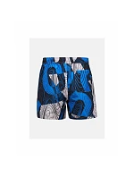 Pánské plavky PEAK PERFORMANCE M Graphic Swim Shorts, modrá barva Pánské plavky PEAK PERFORMANCE M Graphic Swim Shorts, modrá barva