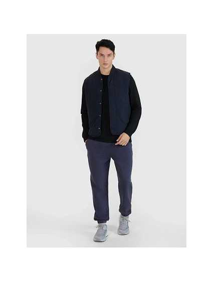Pánské tričko bez rukávů model 21433550 - 4F Pánské tričko bez rukávů model 21433550 - 4F