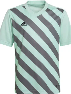Dětský dres Entrada 22 Graphic Jersey Jr model 17233750 - ADIDAS