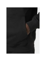 Core Graphic Sweat Hoodie M model 20246960 - Helly Hansen Core Graphic Sweat Hoodie M model 20246960 - Helly Hansen