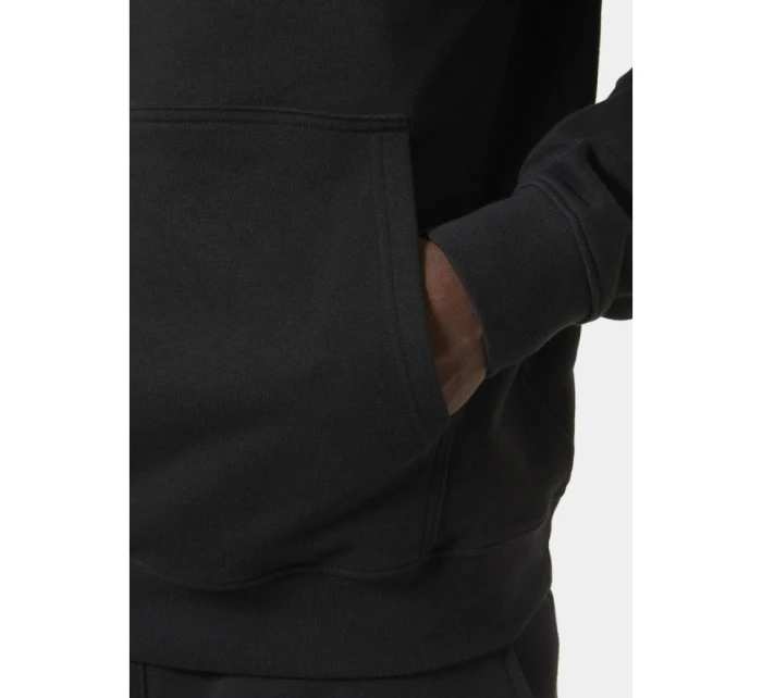 Core Graphic Sweat Hoodie M model 20246960 - Helly Hansen Core Graphic Sweat Hoodie M model 20246960 - Helly Hansen