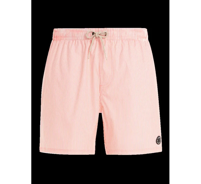 Pánské plážové šortky model 20438219 - Protest