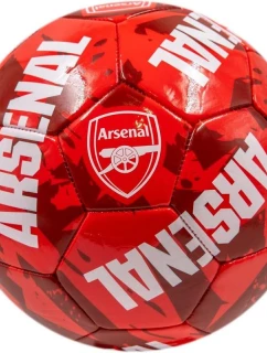 Fotbal Arsenal Londýn FC 70098763