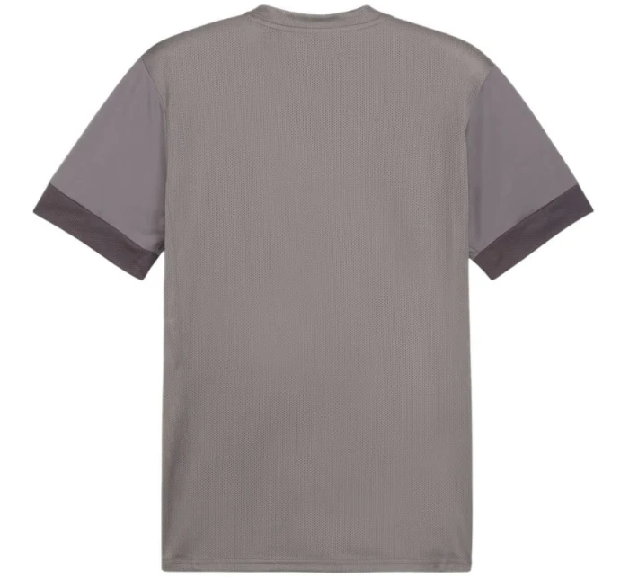 teamGoal Jersey M 13 pánské model 21281704 - Puma