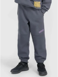 Chlapecké tepláky  model 21730544 - 4F