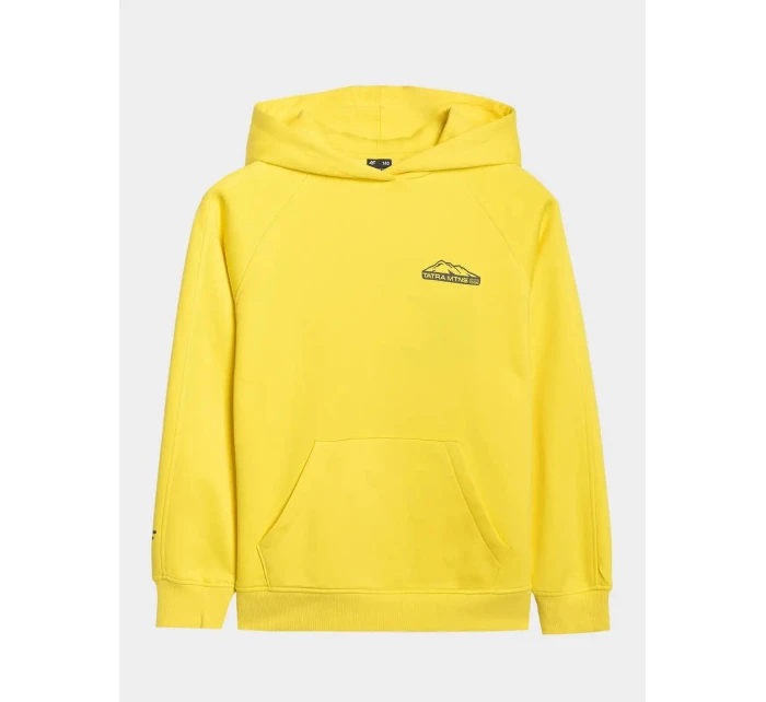 Chlapecká mikina 4F