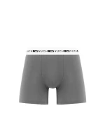 Pánské boxerky Vuch Ragaz Grey Pánské boxerky Vuch Ragaz Grey