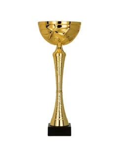 Zlatý kovový pohár