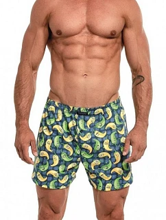 Pánské trenýrky model 22127018 - Cornette