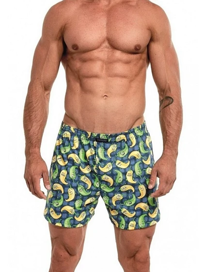 Pánské trenýrky model 22127018 - Cornette