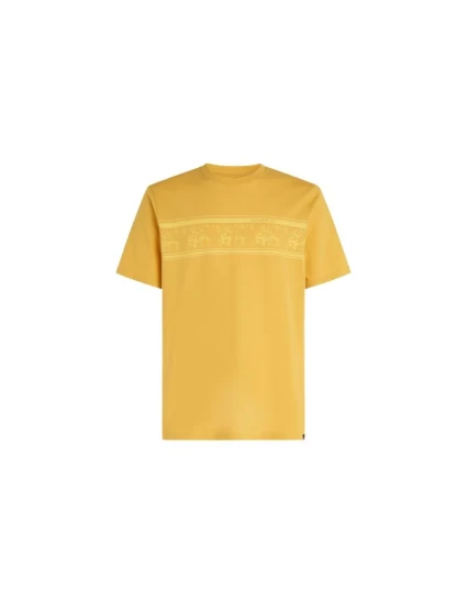 Tričko O'Neill Mix & Match Floral Graphic TShirt M model 20119192 - ONeill