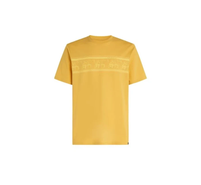 Tričko O'Neill Mix & Match Floral Graphic TShirt M model 20119192 - ONeill