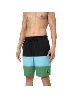 Pánské šortky M 4FSS23UBDSM024 - 4F