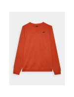 Pánská mikina s kapucí bez model 21437408 - 4F Pánská mikina s kapucí bez model 21437408 - 4F