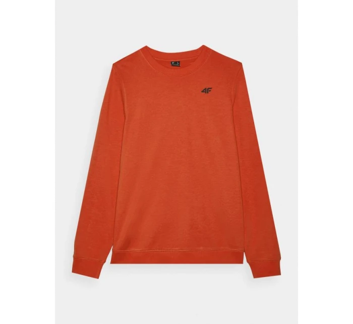 Pánská mikina s kapucí bez model 21437408 - 4F Pánská mikina s kapucí bez model 21437408 - 4F