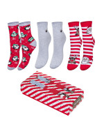 Dámské ponožky Vánoční  A'3 model 17848468 - Milena