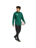 Pánské tričko adidas Entrada 26 Training Top green KE9823 pánské