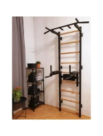 GYMNASTICKÝ ŽEBŘÍK S NASTAVITELNOU TYČÍ A ZÁBRADLÍM BENCHK 732B