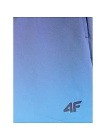 Pánské plážové šortky boardshorts 4F 4FRSS26UBDSM224-31S
