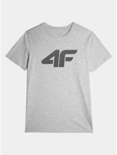 Tričko M model 21425014 pánské - 4F