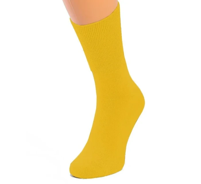 Dámské netlačící ponožky model 16123172 - Terjax