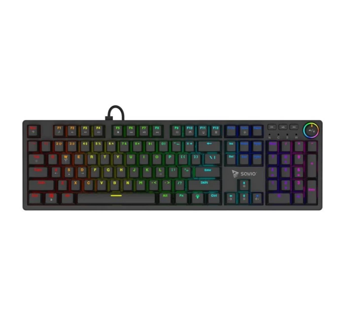 HOT RGB model 21333654 - Savio