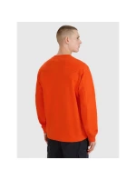 Pánská mikina s kapucí model 21436687 pánské - 4F Pánská mikina s kapucí model 21436687 pánské - 4F