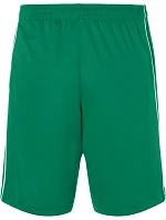 Daiber JN 387 Týmové kraťasy "Basic" 02.0387 green/white