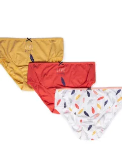 Dámské kalhotky BIKINI model 17549037 3pack - Lama