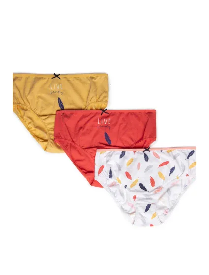 Dámské kalhotky BIKINI model 17549037 3pack - Lama