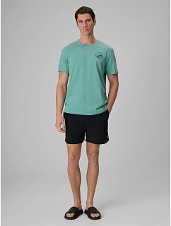 Pánské plážové šortky typu boardshorts s filtrem UPF50+ 4F 4FRSS26UBDSM258-20S