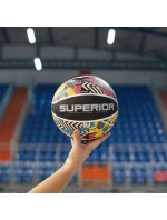 basketbal model 21340406 - Meteor