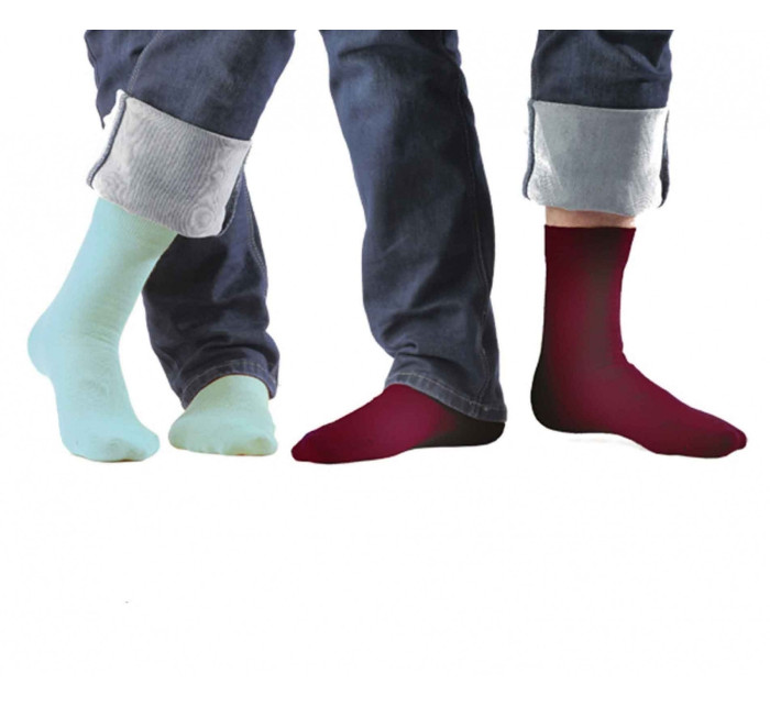 Pánské ponožky Perfect Man W model 5790107 - Wola