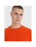 Pánská mikina s kapucí model 21436687 pánské - 4F Pánská mikina s kapucí model 21436687 pánské - 4F