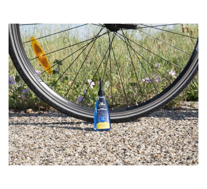 A model 21825709 - Michelin A model 21825709 - Michelin