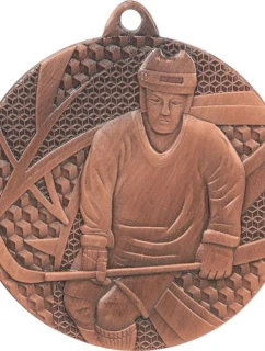 Bronzová medaile - hokej - ocelová medaile